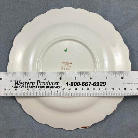 Vintage Raised Florals Hand painted James Kent 8.5" Plate Longton England #2184 - Picture 3 of 4